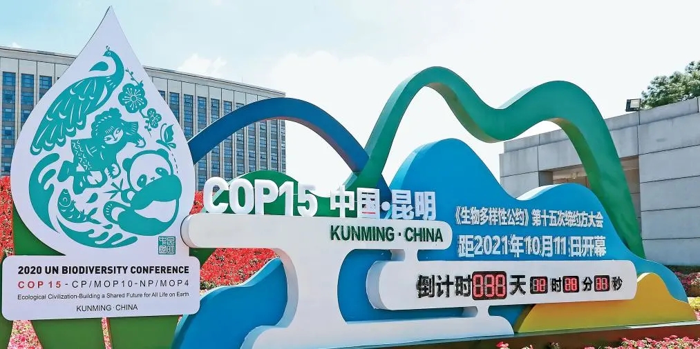 从马赛到昆明：COP15将开启全球生物多样性保护新篇章