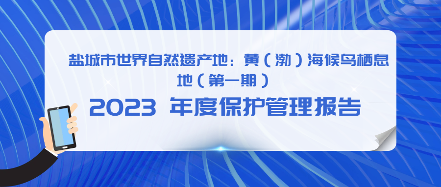   盐城市世界自然遗产地：黄（渤）海候鸟栖息地  （第一期）  2023 年度保护管理报告