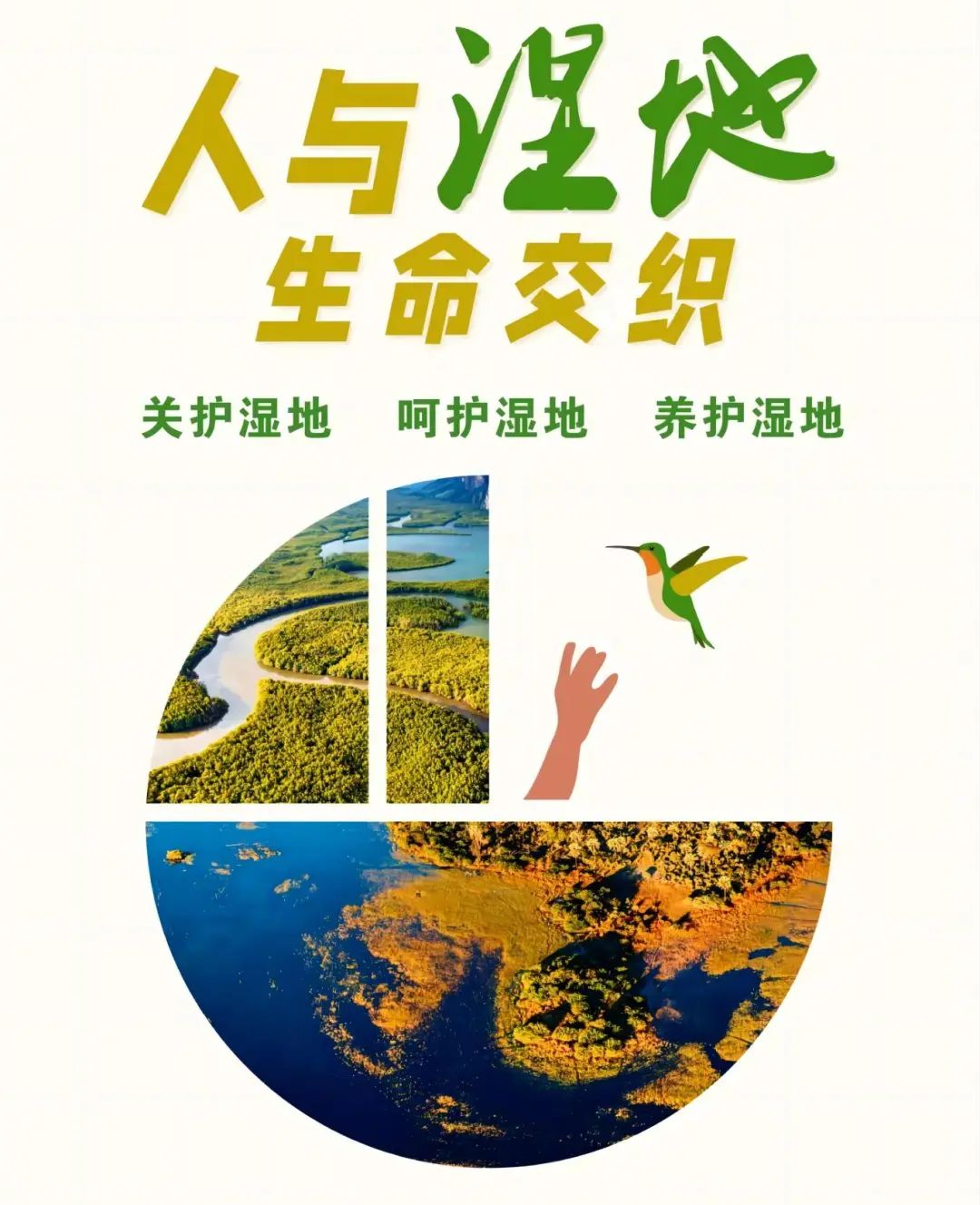 《2023年盐城市湿地保护年报》正式发布