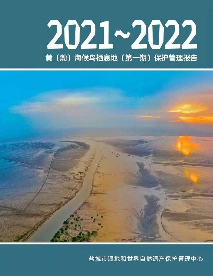 黄（渤）海候鸟栖息地（第一期）2021~2022年度保护管理报告