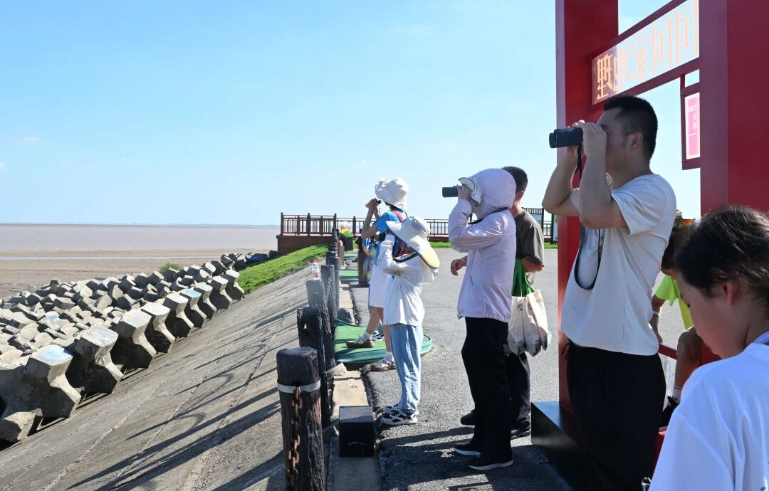盐城黄海湿地 | 别样暑假——滩涂湿地里的沉浸式成长课