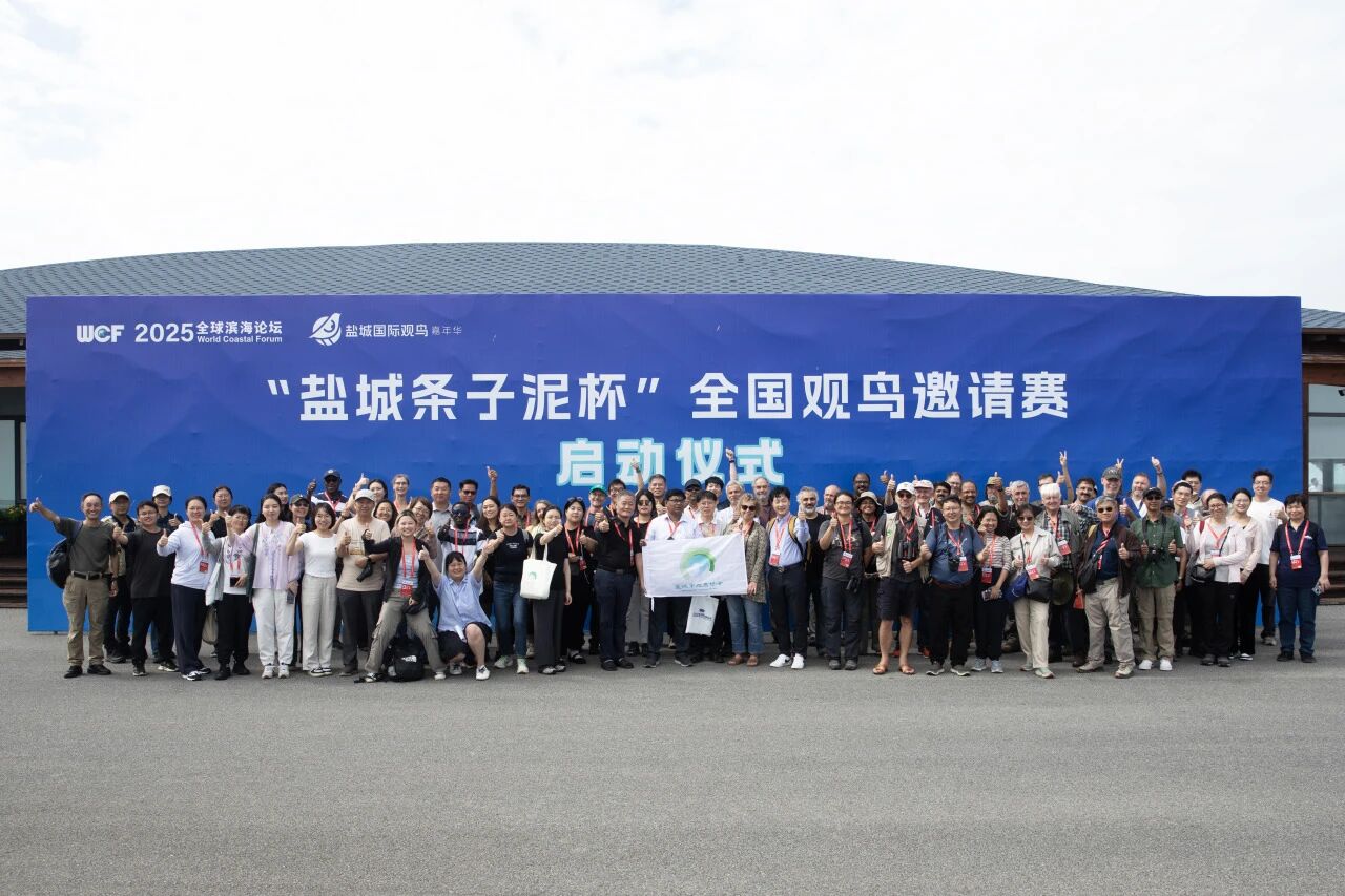2025江苏盐城（首届）国际观鸟嘉年华圆满落幕
