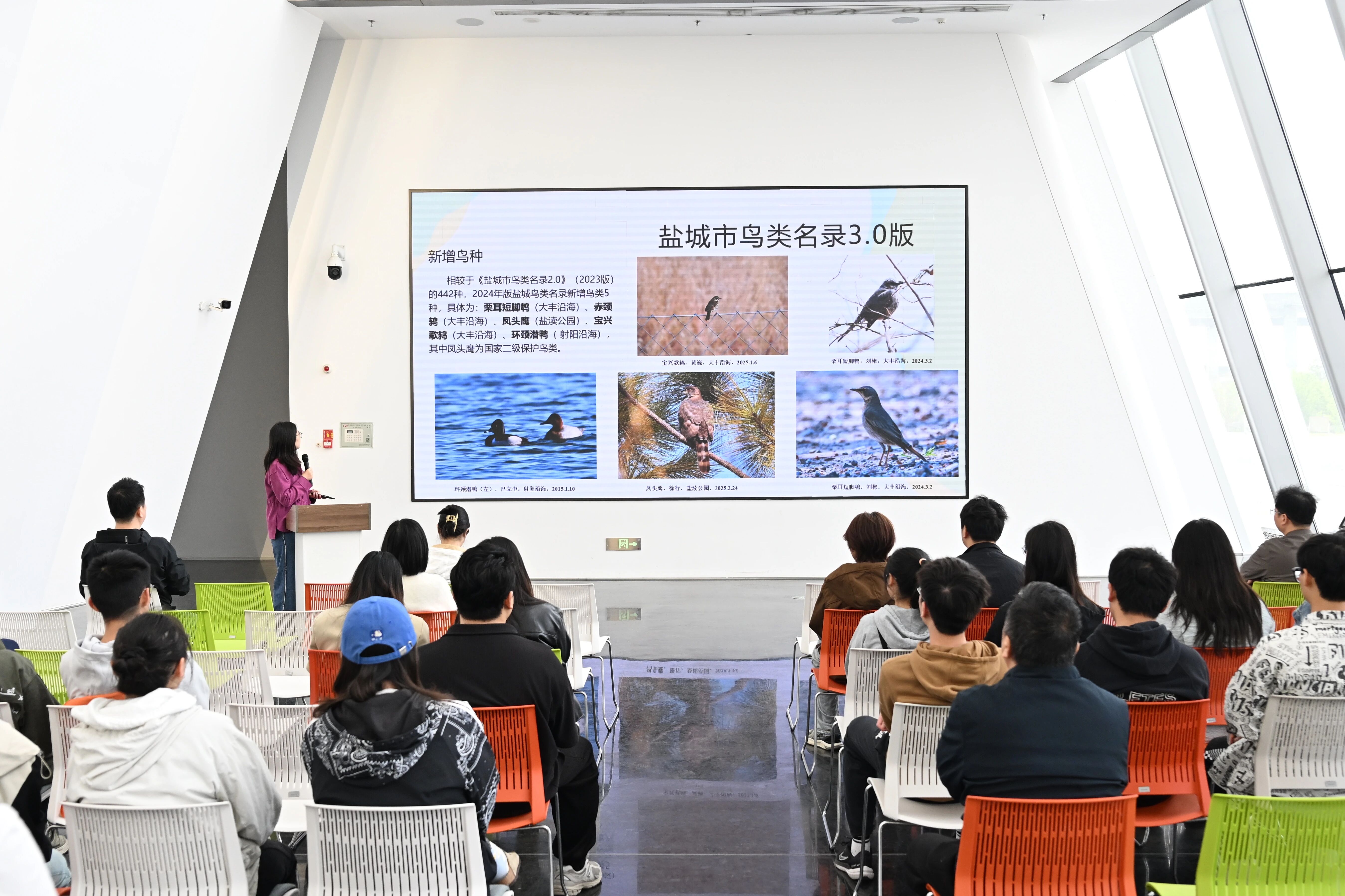 447种！《盐城市鸟类名录3.0》（2024版）正式发布！