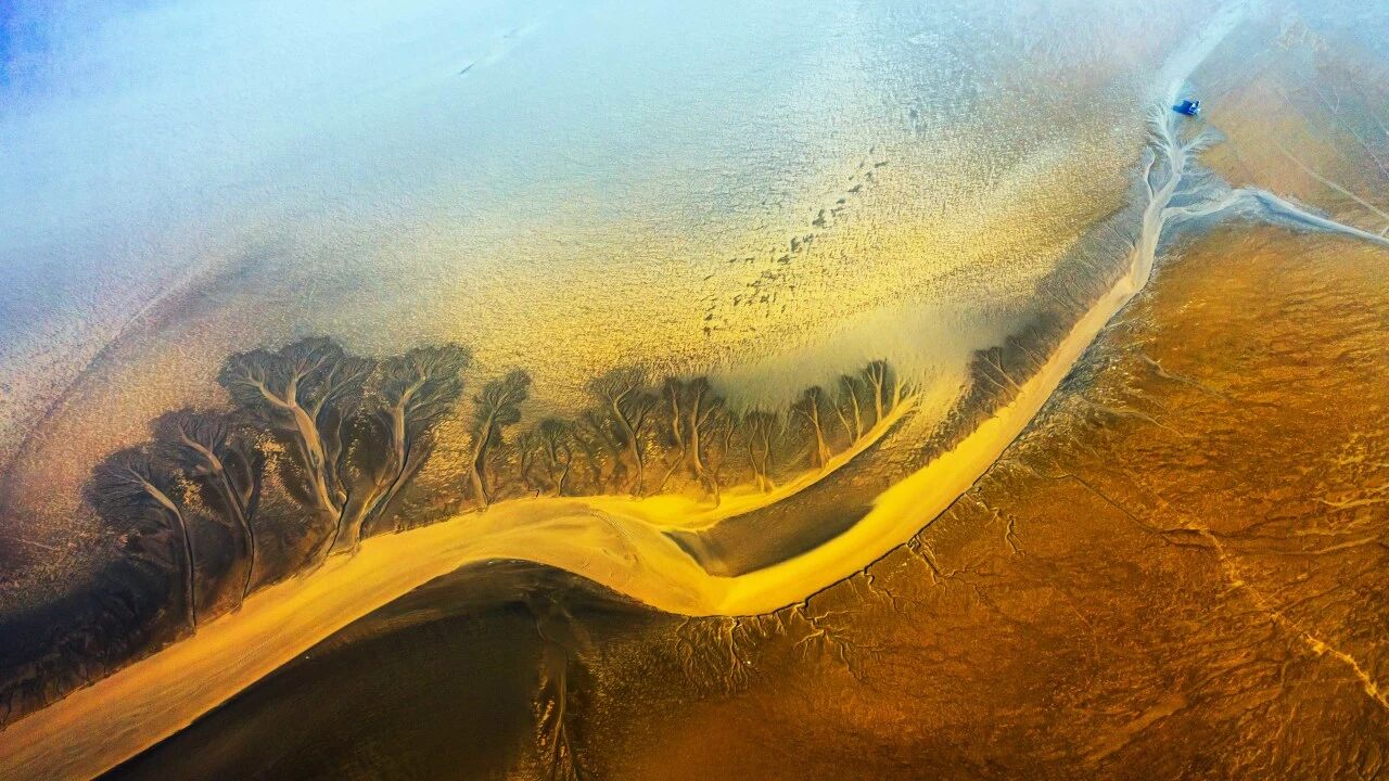 盐城黄海湿地 | 别样暑假——滩涂湿地里的沉浸式成长课